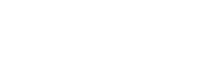 LT STRUCTURING & ADVISOR